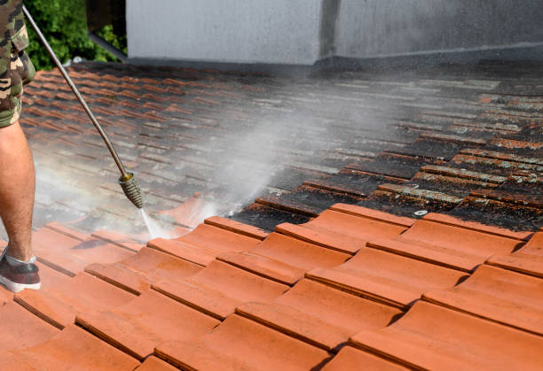 Best Affordable Pressure Washing  in Castle Rock, CO