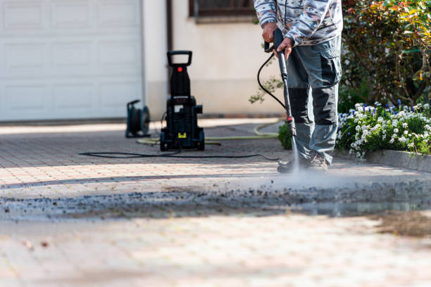 Best Exterior Home Cleaning  in Castle Rock, CO