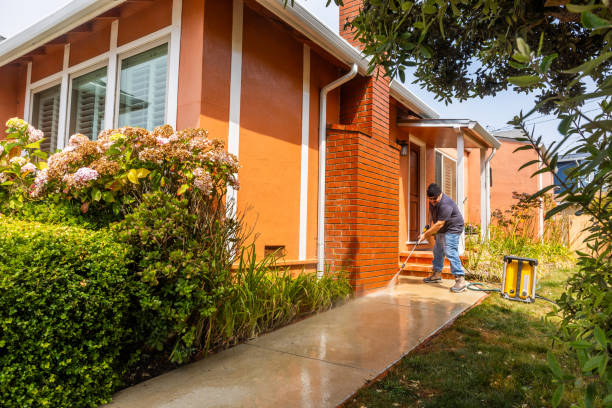 Best Local Pressure Washing Services  in Castle Rock, CO