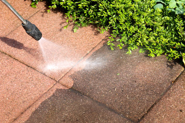 Best Deck Cleaning Services  in Castle Rock, CO